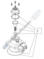 Ремкомплект всасывающего клапана Remeza RH10 4180100100РК (K)