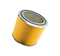Элемент фильтра D316 Remeza 4091000120