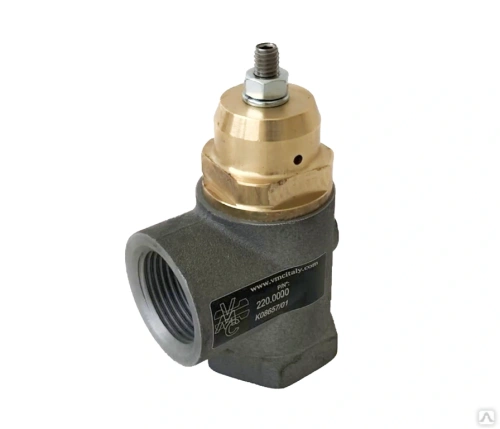 Клапан минимального давления Remeza G25-1'' (4262100302) Remeza 4262100302