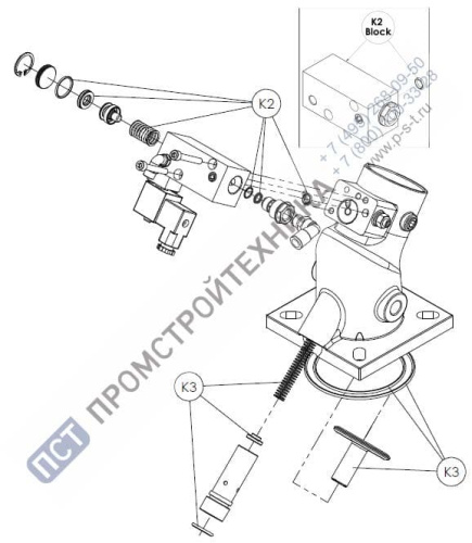 Ремкомплект всасывающего клапана Remeza RB60E 4180100601РК (K2+K3) Remeza 620.0160