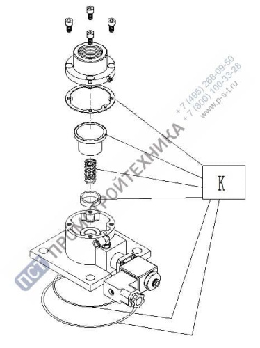 Ремкомплект всасывающего клапана Remeza RH10 4180100100РК (K) Remeza 4180100100РК 600.0180